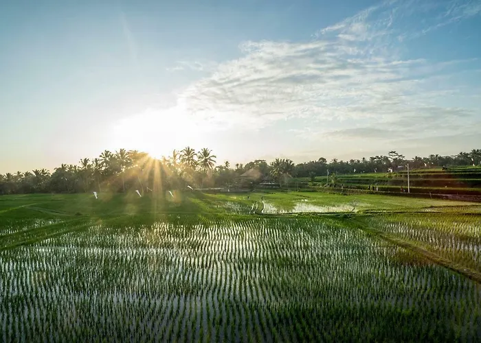 Tanah Carik By Mahaputra *