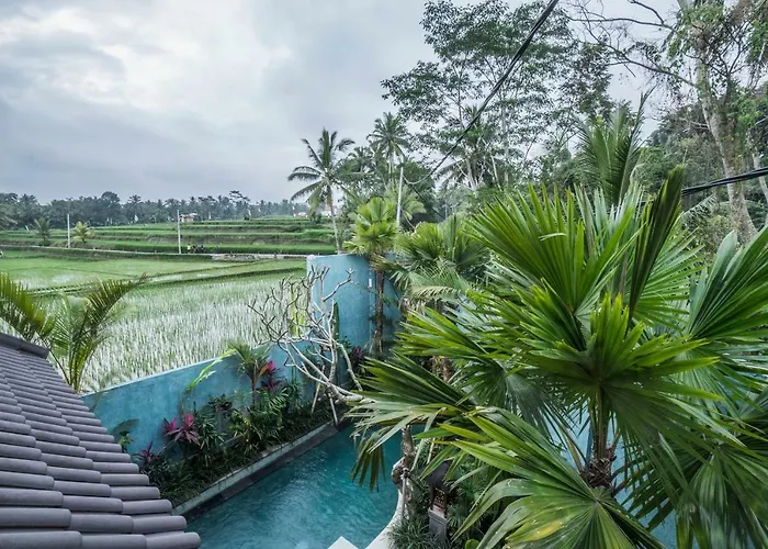 Tanah Carik By Mahaputra *